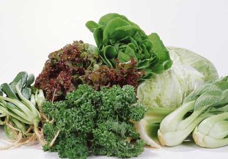 食物里的”排毒高手”人体的解毒功能